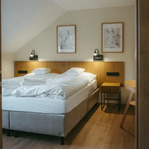 Apartmán pro 2 osoby s přistýlkou pro 2 osoby v penzionu Vtelenka - Mladá Boleslav