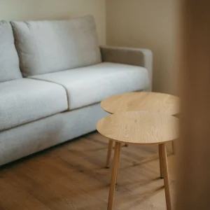 Apartmán pro 2 osoby s přistýlkou pro 2 osoby v penzionu Vtelenka - Mladá Boleslav